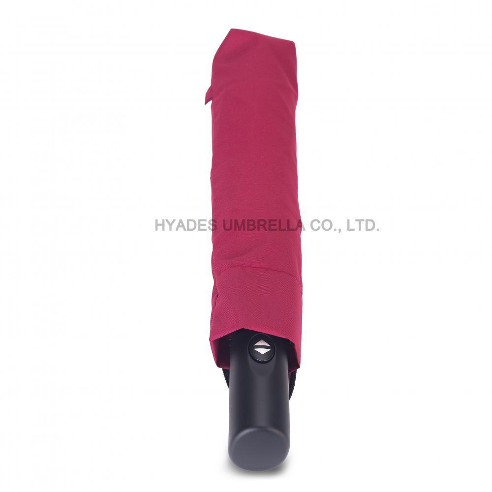 Elegant Auto Open and Close Folding Umbrella