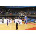FIBA Approved Movable Basketball Stand Commercial Grade