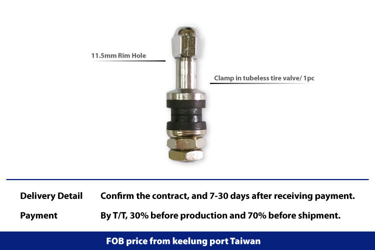 TR43E, Clamp in Tubeless Tire Valve Schrader valve stem