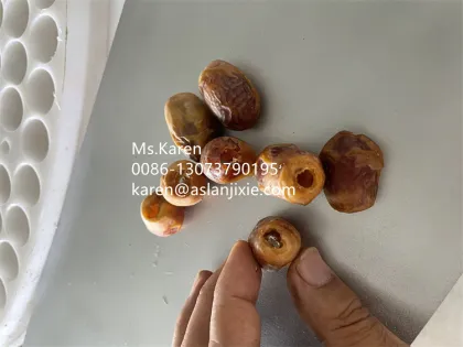 Chinese Jujube Pitting and Deseeding Machine for Red Dates