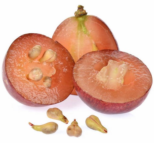 Organic OPC (1)