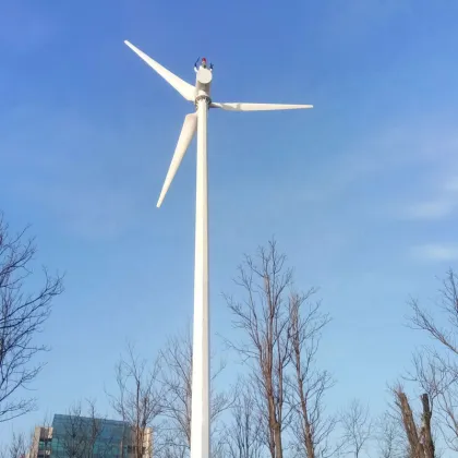 100KW Renewable Energy Wind Power Mill Turbine Generator