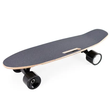 Cheapest Boosted Electric Skateboard with Remote Control Evolve 350W