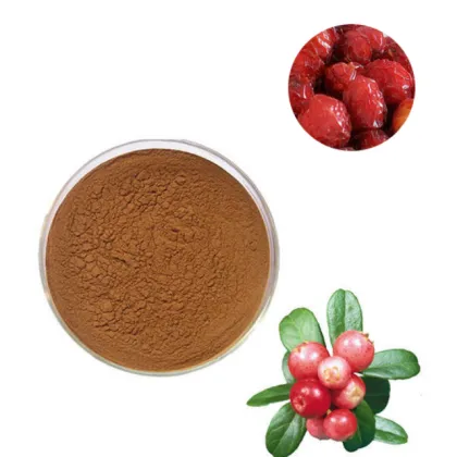 Best rosehip powder best rosehip extract powder