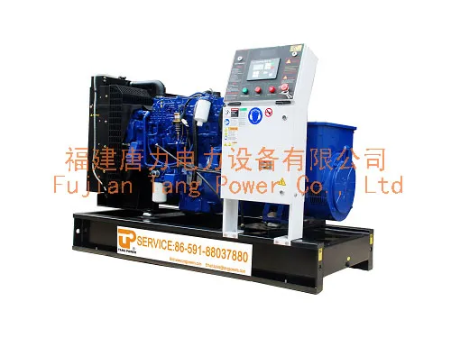 Lovol- perkins Series generator