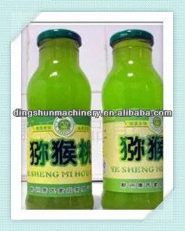 Glass Bottle Juice Filler