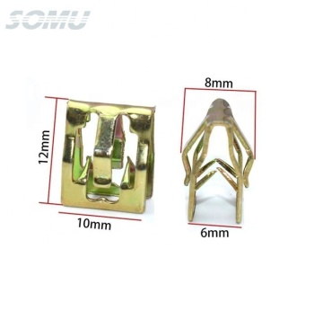 Silver Metal Rivets and Clips for Tesla Vehicle Clamps and Retainers