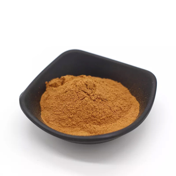 CNCSbio Bulk Chaga Mantar Ekstrakt Tozu