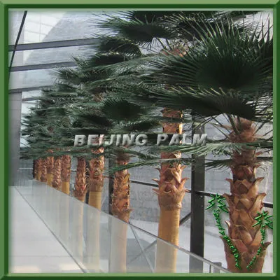 plastic palm tree washingtoia fan palm