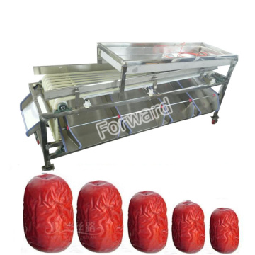 Passion Red Dates y Máquinas de clasificación de frutas: calificación eficiente y soluciones de procesamiento para operaciones comerciales