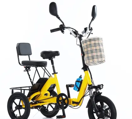 2025 New 14-inch Folding Electric Power Tricycle 48V Lithium Manned Electric Tricycle