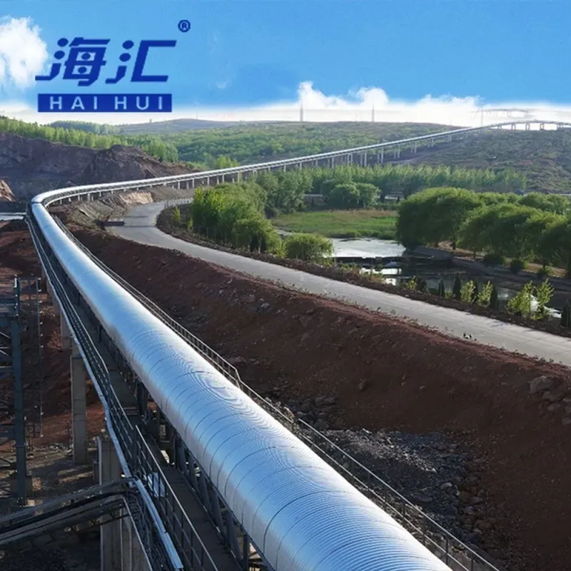 Custom Gravity Bulk Handling Belt Conveyor for Processing Plants Mineral Transport

**Title:** "Custom Gravity Belt Conveyors for Mineral Processing and Bulk Handling