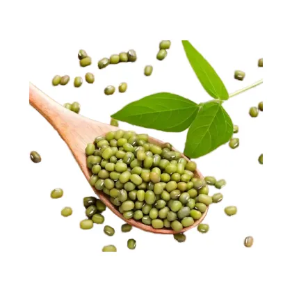 High-Quality Green and Natural Mung Beans - International Source