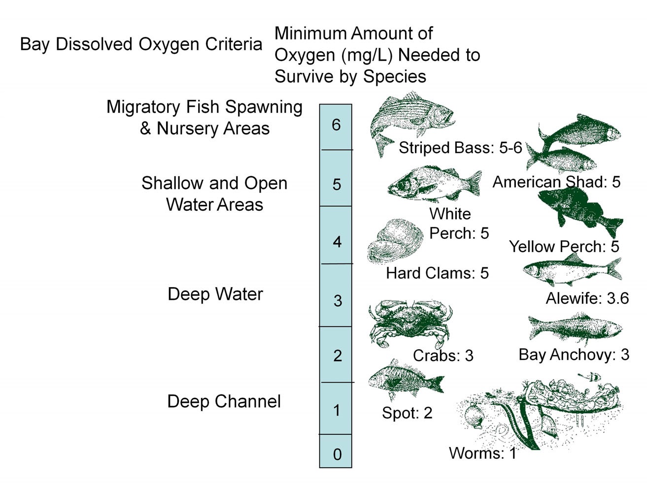 Dissolved Oxygen Criteria