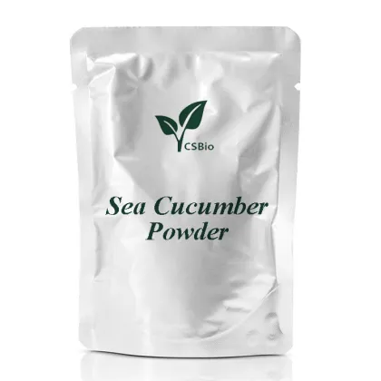 Wholesale sea cucumber powder sea cucumber peptide