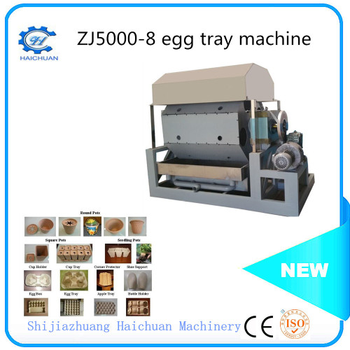 latest high quality egg tray making machine line in India