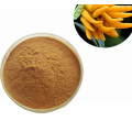 Best function cnidium monnieri extract powder fructus cnidii