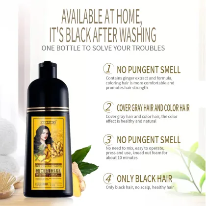 Fast Black Hair Dye Shampoo with Natural Herbal Formula for White to Black Hair, 500ml Family Pack