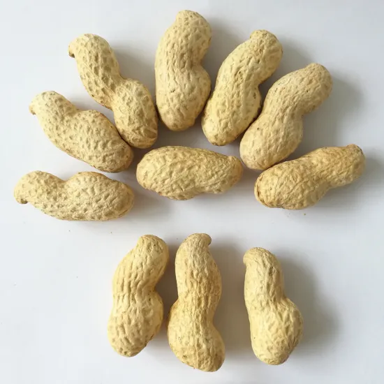 Calories in a raw roasted peanut in shell