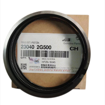 High-Quality Engine Piston Ring 23040-2G510 - Best Selling 23040-2G500 230402G500