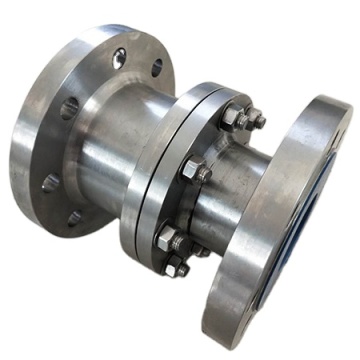 Rowlyn Special Gr.2 Vertical lift titanium check valve