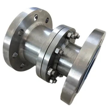 Rowlyn Special Gr.2 Vertical lift titanium check valve