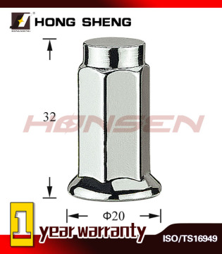 Stainless steel Nut