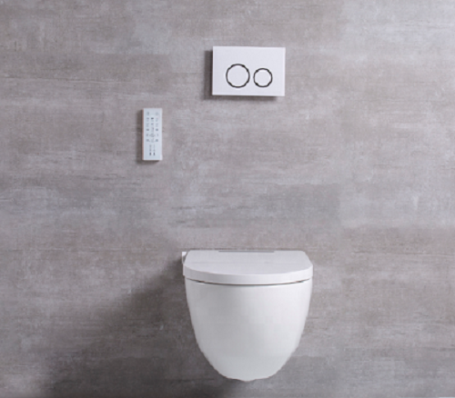 Ceramic Sanitary Smart Toilet