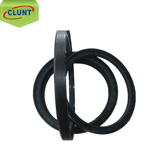 Rotary Shaft Seals Bearing Oil Seal