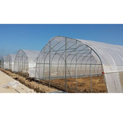 PE Film greenhouse for Agriculture Low cost Tunnel