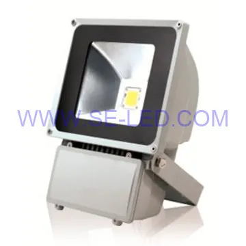 Cree Natural White AC220V High Lumen 100W PROYECTORES LED