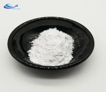 Top Quality Nefiracetam Powder with Best Price