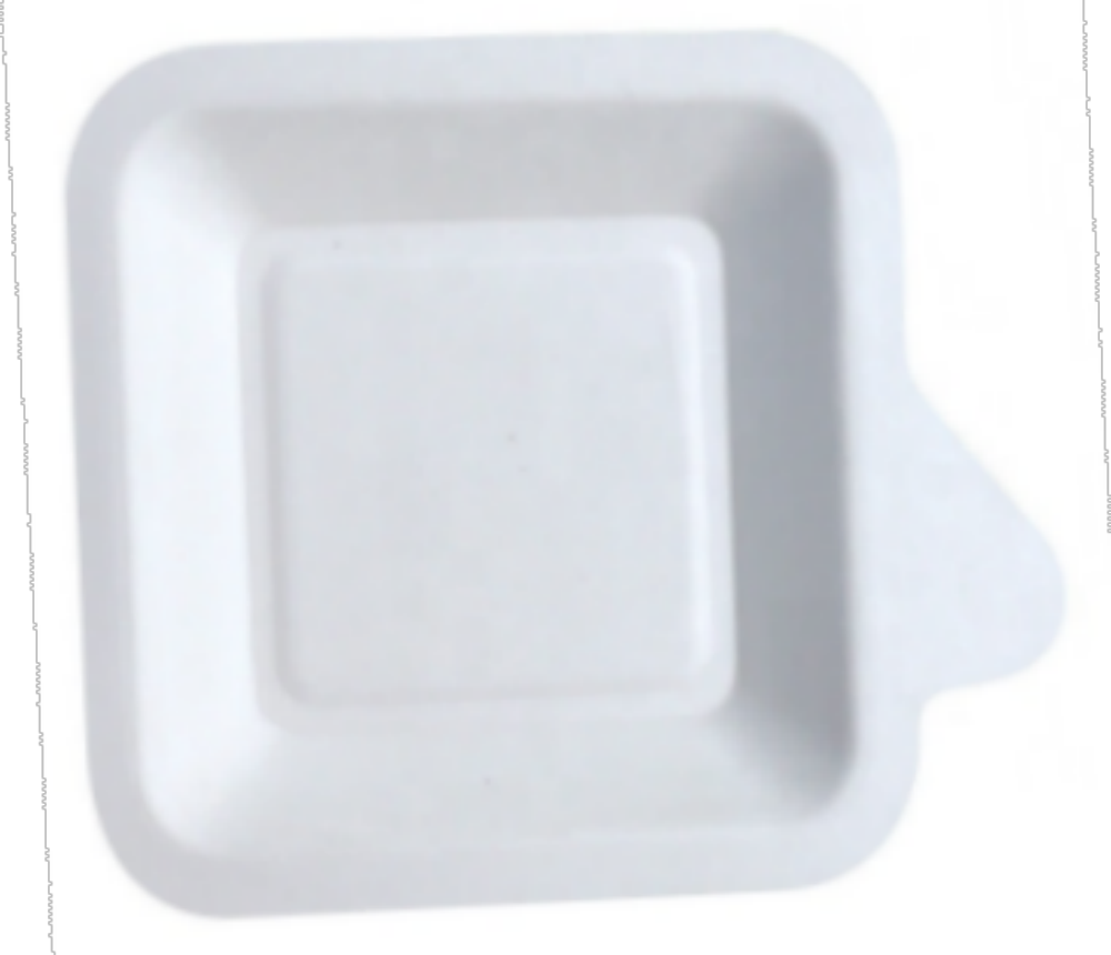 Disposable meal plates biodegradable pulp food container