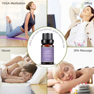 Free Sample Massage Therapeutic Grade Clove Essential Oil