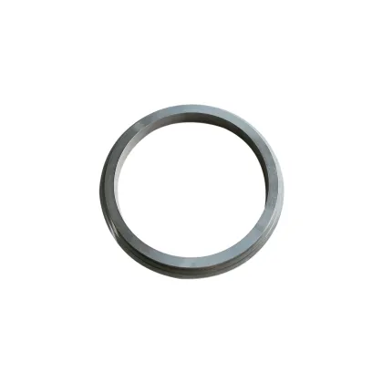 Corrosion Resistance Seal Carbide Mechanical Seals Rings