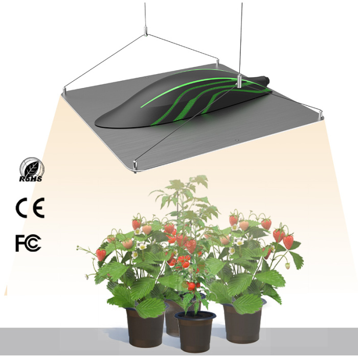 Luci di coltivazione a led Lampada pianta