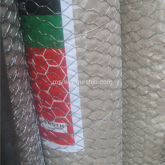 Hot-dip Galvanized Hexagonal Wire Netting