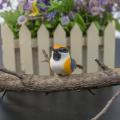 Bird seed craft ideas