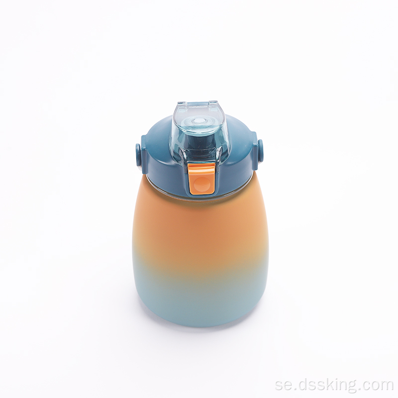 1000 ml stor kapacitet söt DIY -flasksport för resor