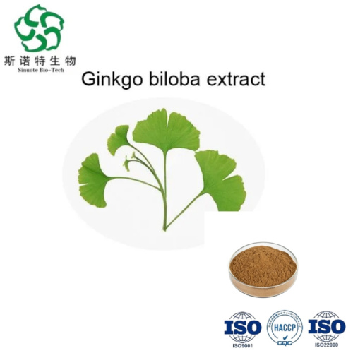 Premium Ginkgo Biloba Extract for Enhanced Memory and Focus