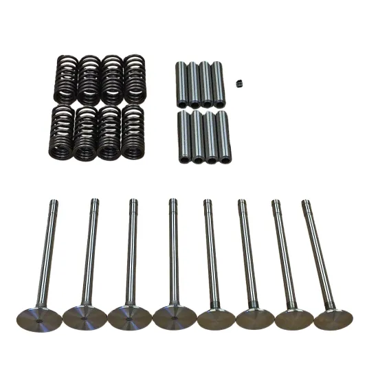 High-Quality Bedford 200 220 300 330 Engine Parts - 91007950 91026165 8854549 Valve