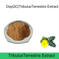 Extracto de tribulus orgánico natural de Tribulus Terrestris saponina 40%