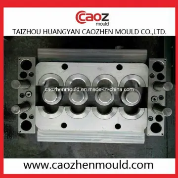 High Quality/Plastic Injection Cap Mould in China