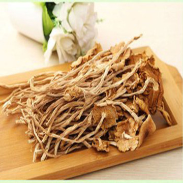 Frist Grade Wild Dried Agrocybe Mushroom