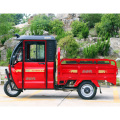 New Arrival high performance mini electric pickup/truck