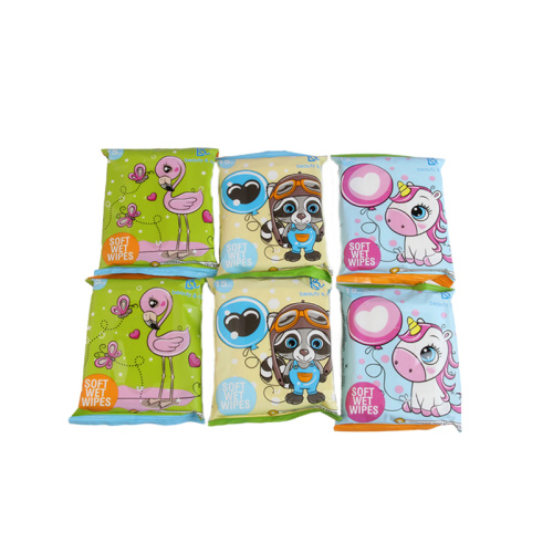 Travel Carry Package Lingettes nettoyantes écologiques