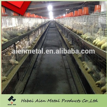 commercial broiler chicken cage