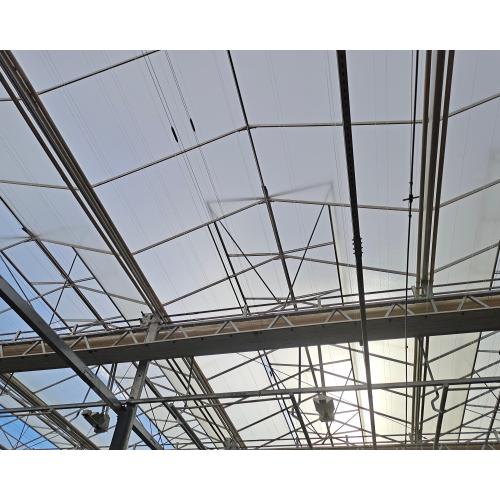 Butterfly Full Length Window Glass Greenhouse