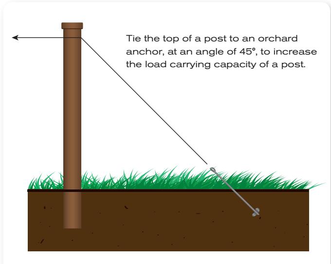 spiral anchor 