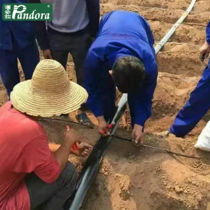 Pandora 16mm Farm Irrigation Pipe and Drip Irrigation System for Agriculture
